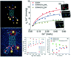 Graphical abstract: Tailoring of carbon nanotubes for the adsorption of heavy metal ions: molecular dynamics and experimental investigations