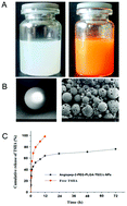 Graphical abstract: An Angiopep-2 functionalized nanoformulation enhances brain accumulation of tanshinone IIA and exerts neuroprotective effects against ischemic stroke