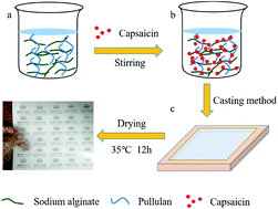 Graphical abstract: An edible film of sodium alginate/pullulan incorporated with capsaicin