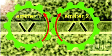 Graphical abstract: Tailoring the emission polarization with metasurface-based emitters designed on a plasmonic ridge waveguide