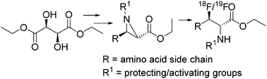 Graphical abstract: Stereospecific radiosynthesis of 3-fluoro amino acids: access to enantiomerically pure radioligands for positron emission tomography
