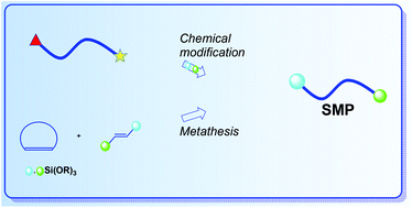 Graphical abstract: Advances in the synthesis of silyl-modified polymers (SMPs)
