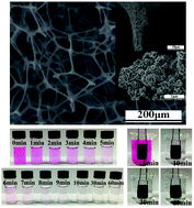 Graphical abstract: A facile dip-coating method for the preparation of separable MoS2 sponges and their high-efficient adsorption behaviors of Rhodamine B
