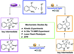 Graphical abstract: Mechanistic studies on the atmosphere and light tuned synthesis of cyclobuta/penta[b]indoles