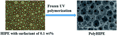 Graphical abstract: Macroporous polymers prepared via frozen UV polymerization of the emulsion-templates stabilized by a low amount of surfactant
