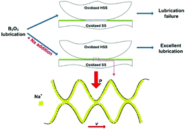 Graphical abstract: Understanding the tribological impacts of alkali element on lubrication of binary borate melt