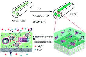 Graphical abstract: Three-channel capillary NF membrane with PAMAM-MWCNT-embedded inner polyamide skin layer for heavy metals removal