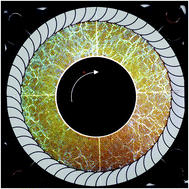 Graphical abstract: Nonlocal rheology of dense granular flow in annular shear experiments