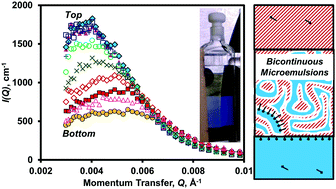 Graphical abstract: Observation of a structural gradient in Winsor-III microemulsion systems