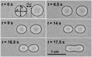 Graphical abstract: Vapor-induced motion of two pure liquid droplets