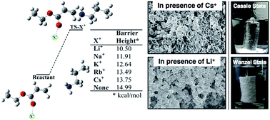 Graphical abstract: Alkali metal-ion assisted Michael addition reaction in controlled tailoring of topography in a superhydrophobic polymeric monolith