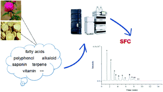 Graphical abstract: Supercritical fluid chromatography–a technical overview and its applications in medicinal plant analysis: an update covering 2012–2018