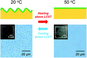 Graphical abstract: Electrophoretic fabrication of an active and selective wrinkle surface on hydrogels