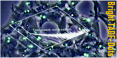 Graphical abstract: Photostable and highly emissive glassy organic dots exhibiting thermally activated delayed fluorescence