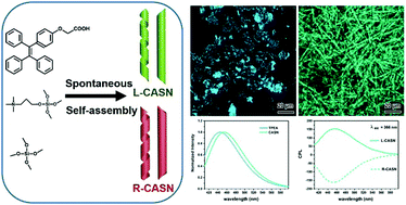 Graphical abstract: Spontaneous chiral self-assembly of achiral AIEgens into AIEgen-silica hybrid nanotubes