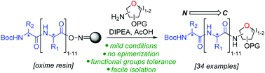 Graphical abstract: Synthesis of C-terminal glycopeptides via oxime resin aminolysis