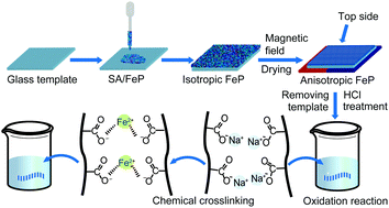 Graphical abstract: Pre-patterning and post-oxidation-crosslinking of Fe(0) particles for a humidity-sensing actuator