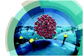 Graphical abstract: Highlights from Faraday Discussion 301: Nanolithography of Biointerfaces, London, UK, July 3–5 2019