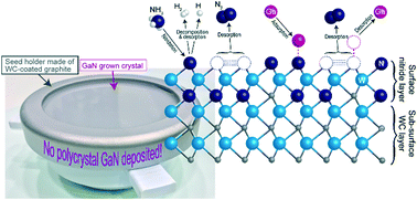 Graphical abstract: Tungsten carbide layers deposited on graphite substrates via a wet powder process as anti-parasitic-reaction coatings for reactor components in GaN growth
