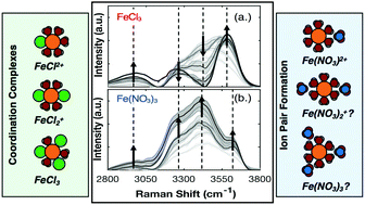 Graphical abstract: Hydration of ferric chloride and nitrate in aqueous solutions: water-mediated ion pairing revealed by Raman spectroscopy