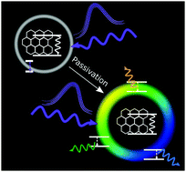 Graphical abstract: Ultrafast spectroscopic investigation on fluorescent carbon nanodots: the role of passivation