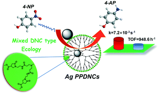Graphical abstract: Efficient reduction of 4-nitrophenol catalyzed by 4-carbo-methoxypyrrolidone modified PAMAM dendrimer–silver nanocomposites