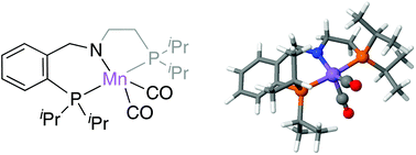 Graphical abstract: Diastereoselective diazenyl formation: the key for manganese-catalysed alcohol conversion into (E)-alkenes