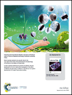 Graphical abstract: Back cover