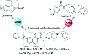 Graphical abstract: Chromone and donepezil hybrids as new multipotent cholinesterase and monoamine oxidase inhibitors for the potential treatment of Alzheimer's disease