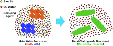 Graphical abstract: Rapid synthesis of defective and composition-controlled metal chalcogenide nanosheets by supercritical hydrothermal processing