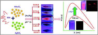 Graphical abstract: Development of a near infrared Au–Ag bimetallic nanocluster for ultrasensitive detection of toxic Pb2+ ions in vitro and inside cells