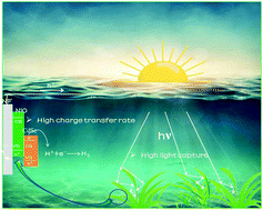 Graphical abstract: NiO nanowires as hole-transfer layer for drastic enhancement of CdSe-sensitized photocathodes