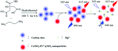 Graphical abstract: Construction of a ratiometric phosphorescent assay with long-lived carbon quantum dots and inorganic nanoparticles for its application in environmental and biological systems