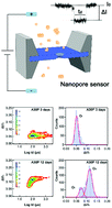 Graphical abstract: Label-free detection of early oligomerization of α-synuclein and its mutants A30P/E46K through solid-state nanopores
