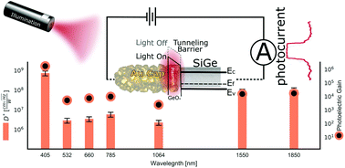 Graphical abstract: Broad-band high-gain room temperature photodetectors using semiconductor–metal nanofloret hybrids with wide plasmonic response