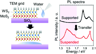 Graphical abstract: Restoring the intrinsic optical properties of CVD-grown MoS2 monolayers and their heterostructures
