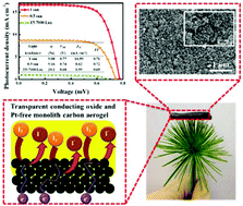 Graphical abstract: A Pt-free pristine monolithic carbon aerogel counter electrode for dye-sensitized solar cells: up to 20% under dim light illumination