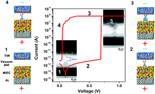 Graphical abstract: Decoding the metallic bridging dynamics in nanogap atomic switches
