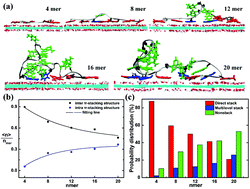 Graphical abstract: Length feature of ssDNA adsorption onto graphene oxide with both large unoxidized and oxidized regions