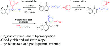 Graphical abstract: Pd-Catalyzed sequential hydroarylation and olefination reactions of 3-allylchromones