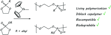 Graphical abstract: Rare earth metal-mediated ring-opening polymerisation of cyclic phosphoesters