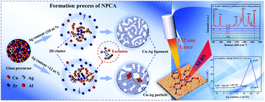 Graphical abstract: Formation mechanism and characterization of immiscible nanoporous binary Cu–Ag alloys with excellent surface-enhanced Raman scattering performance by chemical dealloying of glassy precursors