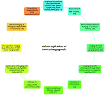 Graphical abstract: Iron oxide nanoparticles as multimodal imaging tools