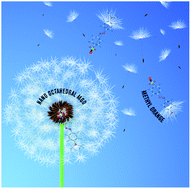 Graphical abstract: Synthesis of nano-octahedral MgO via a solvothermal-solid-decomposition method for the removal of methyl orange from aqueous solutions