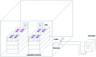 Graphical abstract: Effects of ozone concentration on the postharvest quality and microbial diversity of Muscat Hamburg grapes