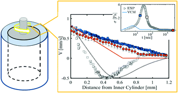 Graphical abstract: Transient evolution of flow profiles in a shear banding wormlike micellar solution: experimental results and a comparison with the VCM model