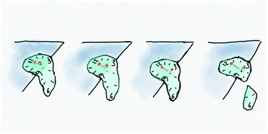 Graphical abstract: Microscopic precursors of failure in soft matter