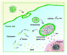 Graphical abstract: Programmed co-delivery of platinum nanodrugs and gemcitabine by a clustered nanocarrier for precision chemotherapy for NSCLC tumors