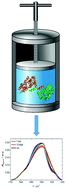 Graphical abstract: On the extraordinary pressure stability of the Thermotoga maritima arginine binding protein and its folded fragments – a high-pressure FTIR spectroscopy study