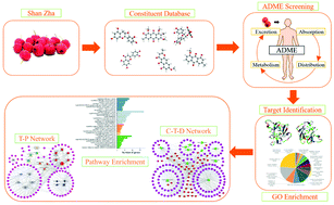 Graphical abstract: A systems-based analysis to explore the multiple mechanisms of Shan Zha for treating human diseases